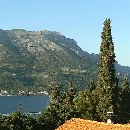 Smiley With A Million Dollar View