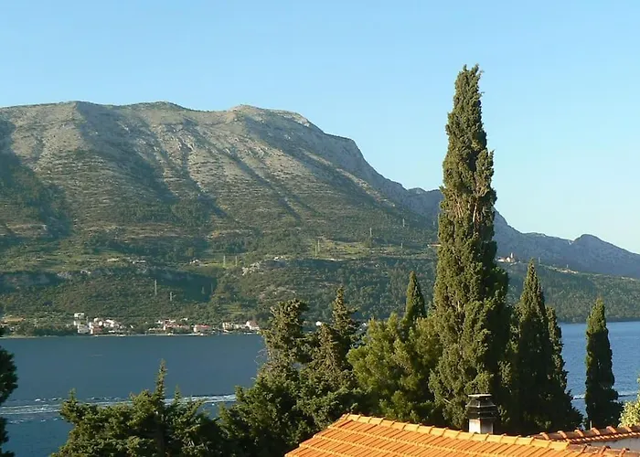 Smiley With A Million Dollar View